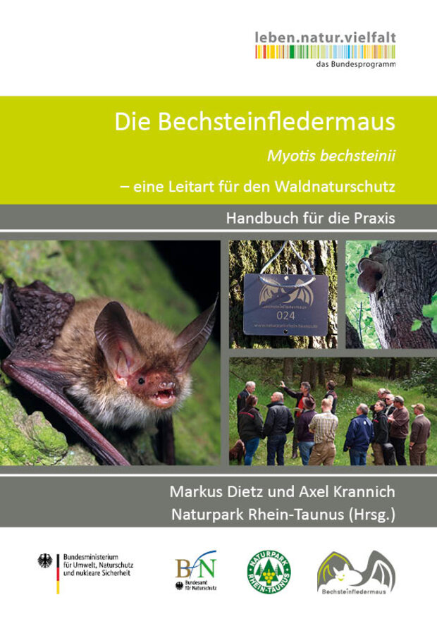 Der Leitfaden zum Schutz der Bechsteinfledermaus kann über den Naturpark Rhein-Taunus bezogen werden.
