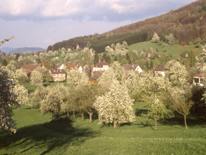 Landschaft (Foto: Markus Rösler)