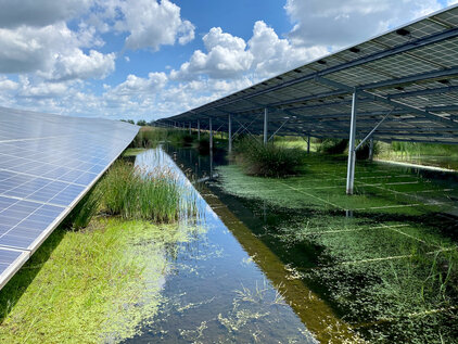 Kleingewässer in einem Solarpark (Klein Rheide, Schleswig-Holstein
