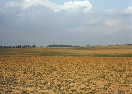 Die neue Agrarlandschaft meines Heimatortes im real existierenden Sozialismus 1982. (Foto: Michael Succow)