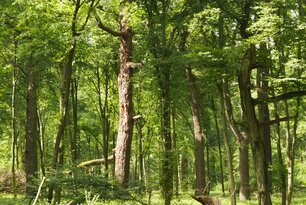 (Foto: C.Schleupner)