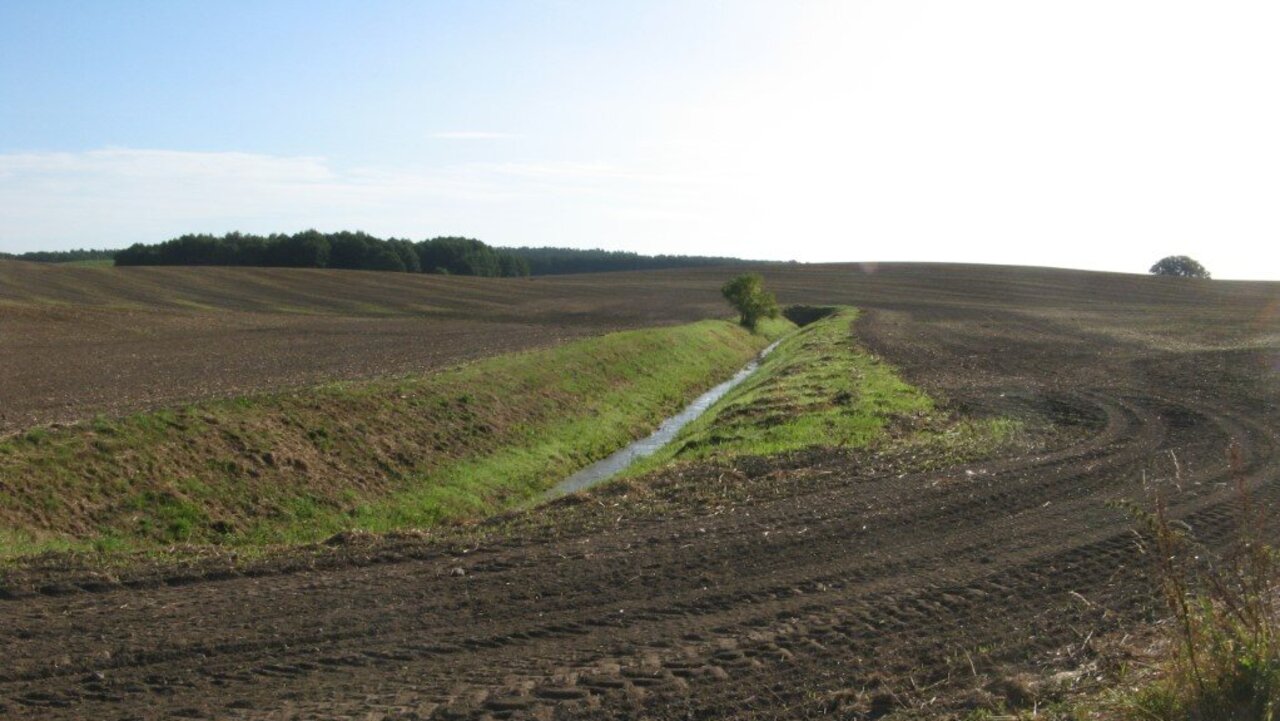 Natur- und Ressourcenschutz in der Agrarlandschaft erfordern Handeln. (Foto: Rainer Oppermann)
