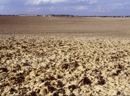 Degradierte Agrarlandschaft bei Möglin (Ostbrandenburg) 1992. (Foto: Michael Succow)