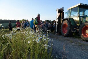 Exkursion zum Thema insektenschonende Wegrandpflege. (Foto: Landpixel)