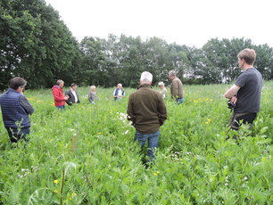Biodiversitätsberatung zum Wildpflanzenanbau zur Energiegewinnung. (Foto: Nora Kretzschmar)
