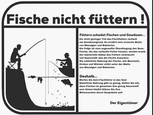 Aufklärung - Sporttaucher*innen berichten, was sie unter Wasser sehen. (Foto: Elena Oldorff)