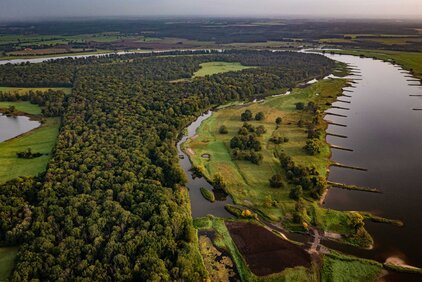 Die Hohe Garbe - einer der letzten großen Auenwälder der Mittelbe. (Foto: Jen Guyton)