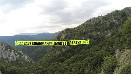 Protest in Rumänien gegen den Bau der Nationalstraße DN66A im UNESCO-Weltnaturerbegebiet Ciucevele Cernei (Foto: Jana Ballenthien)