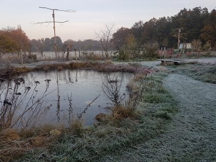 Foto eines Teichs